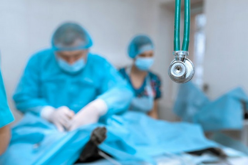 Cirurgia Cardiaca Veterinaria Agendar Siciliano - Cirurgia Vet
