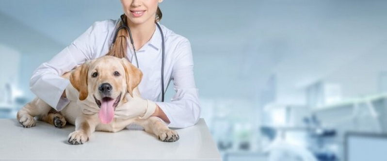 Cirurgia Reconstrutiva Veterinária Agendar Jandira - Cirurgia Oftalmologica Cachorro