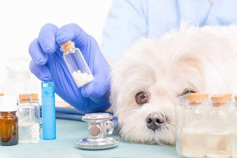 Clínica Especialista em Homeopatia Animal Perus - Homeopatia Animal