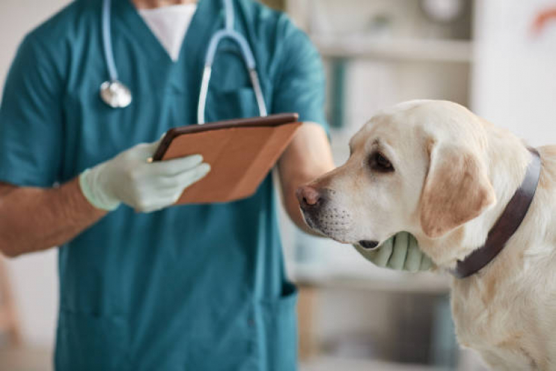 Clínica Especializada em Encaminhamento Médico Veterinário Embu das Artes - Encaminhamento para Internação de Animais