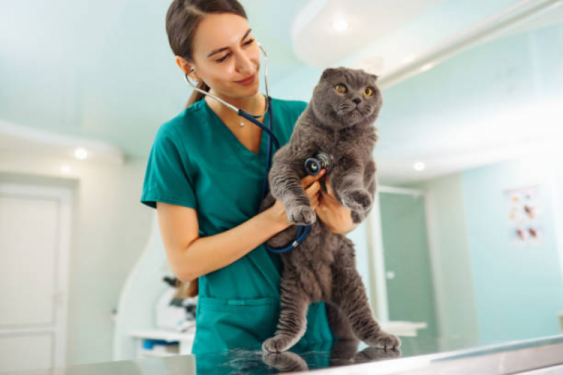 Clínica Especializada em Encaminhamento Veterinário para Cães Tabatinga - Encaminhamento Médico para Gatos