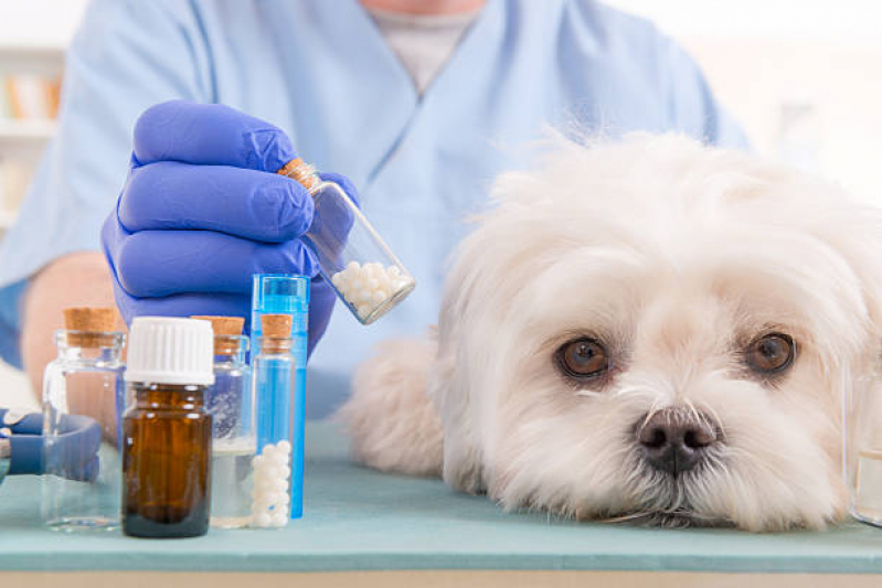 Clínica Especializada em Homeopatia Animal Saúde - Médico Homeopata Veterinário
