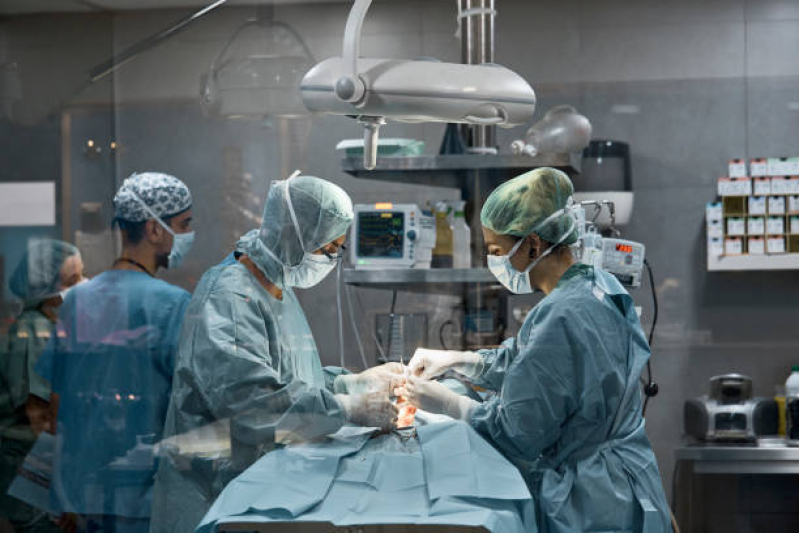 Clínica Que Faz Cirurgia com Anestesia Veterinária Jardim Iguatemi - Cirurgia para Gato