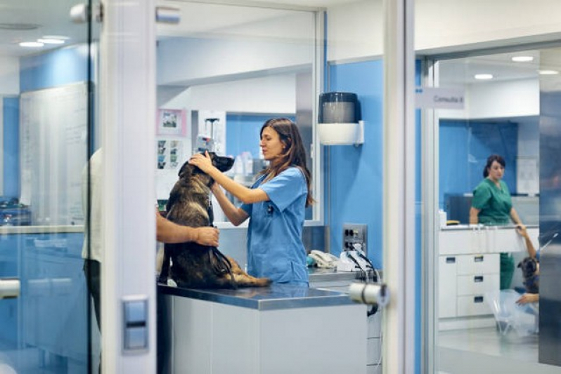 Clínica Que Faz Internação de Emergência para Animais Tabatinga - Internação para Cachorros