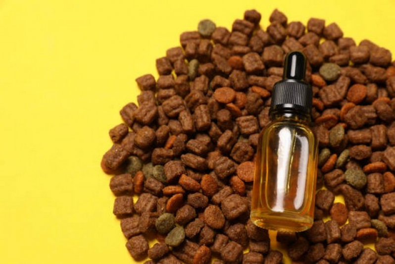 Homeopata para Gatos Agendar Santo Amaro - Homeopatia Veterinária para Alergias