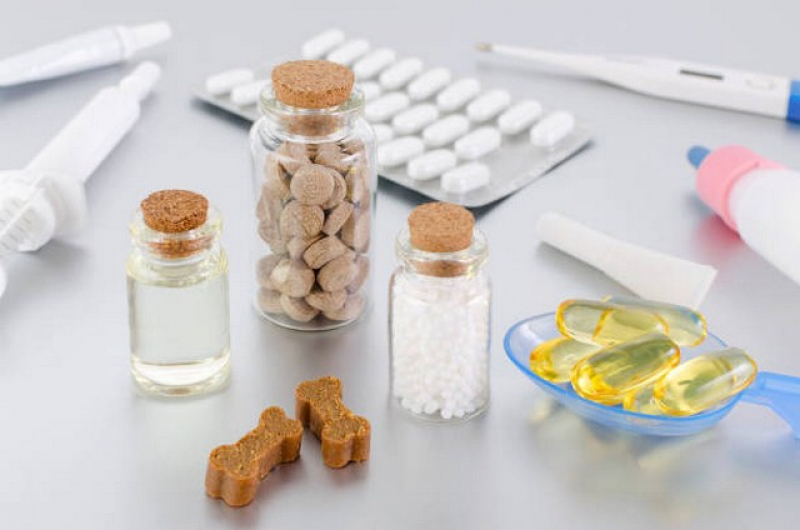 Homeopatia Veterinária para Alergias Pinheiros - Homeopatas Veterinários
