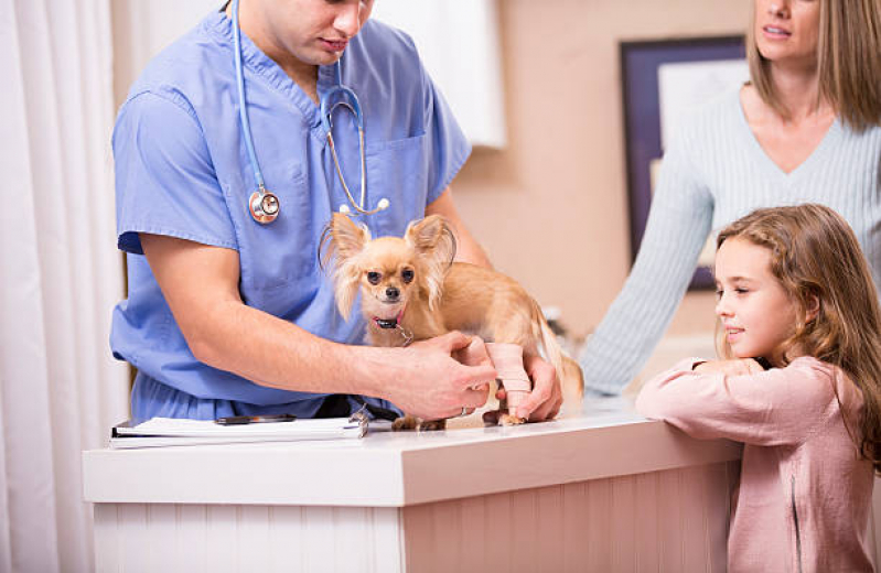 Internação Veterinária Clínica Alphaville - Internação para Cães e Gatos