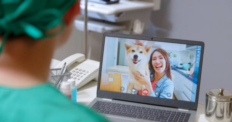 Onde Agendar Consulta com Médico Veterinário Online Vila Carrão - Consulta para Cachorro Online