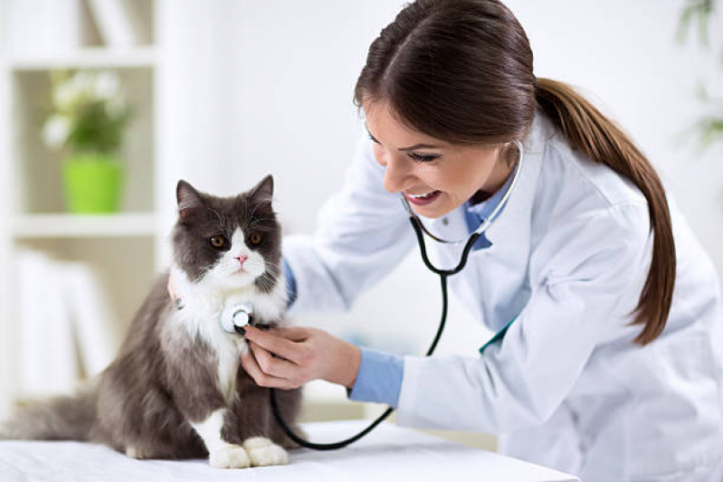 Onde Agendar Exame de Radiologia para Animais Ipiranga - Exame de Sangue para Animais