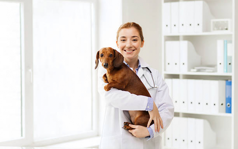Onde Encontrar Veterinário Ortopedista Diadema - Veterinário para Animais de Estimação