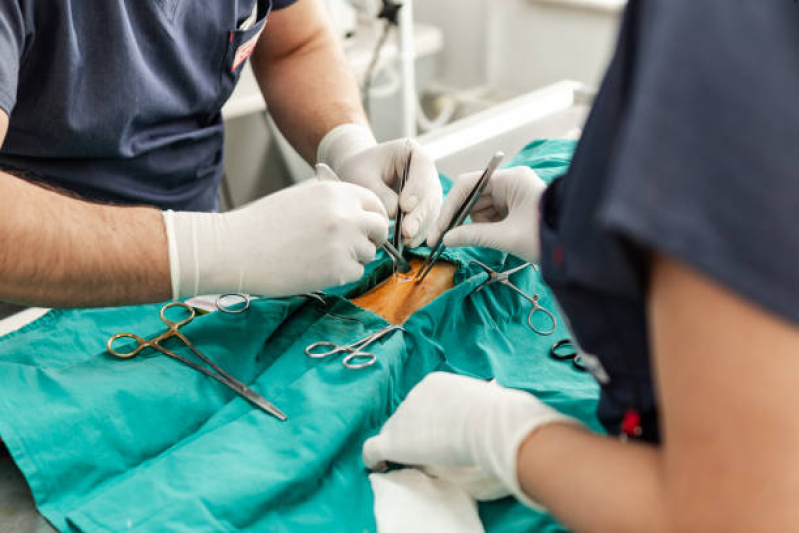 Onde Fazer Cirurgia para Cachorro Itapecerica da Serra - Cirurgia com Anestesia Veterinária