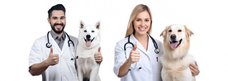 Onde Fazer Cirurgia Reconstrutiva Veterinária Jardim América - Cirurgia Oftalmologica em Cães