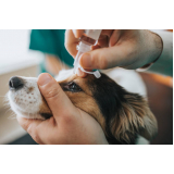 agendamento de exame de sangue para cachorro Itaquera