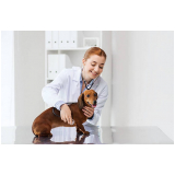 atendimento e encaminhamento veterinario Barueri