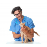 atendimento médico veterinário contato Brooklin
