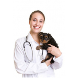 atendimento médico veterinário Caierias