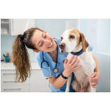 broncoscopia veterinária agendar ABC