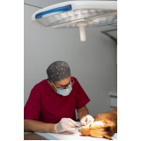 cirurgia oftalmologica veterinaria marcar Capivari