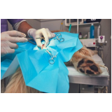 cirurgia oncologica veterinaria agendar Alto da Boa Vista