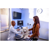 clinica de atendimento emergencial veterinario Raposo Tavares