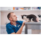 clinica de atendimento veterinario 24 horas Saúde