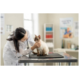 clinica de atendimento veterinario de emergência Santa Bárbara doeste
