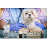 clínica especializada em homeopatia na veterinária Água Branca