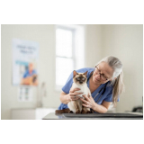 clinica que faz atendimento veterinario de emergência Guararapes