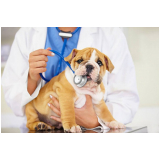 clinica que faz ecg veterinario Suzano