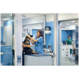 clinica que faz endoscopia veterinária Perús