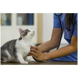 clinica que faz exame para toxoplasmose em gatos Limeira