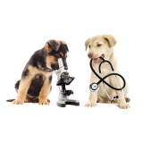 clinica que faz exames laboratoriais de cachorro Perús