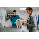 clínica que faz internação de cachorro Brooklin Paulista