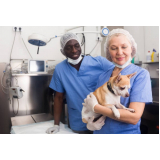 clínica que faz internação de emergência para cães Vila Clementino