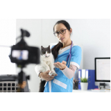 consulta de veterinário online marcar Cajamar