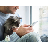 consulta para gatos online Higienopolis