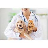 eletro veterinario agendar Higienopolis