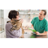 encaminhamento veterinário clínica Jabaquara
