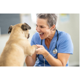 encaminhamentos veterinários especialidades Saúde