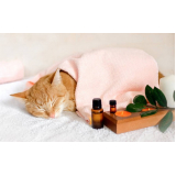homeopatia para felino agendar Conchas