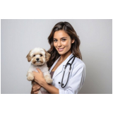 oncologista veterinário Jandira