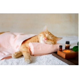 onde agendar homeopata para gatos Guararapes