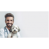 onde agendar veterinário especialista em ortopedia José Bonifácio