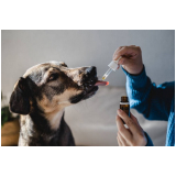 onde marcar homeopata para cachorros Diadema