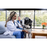 onde marcar veterinário atendimento domiciliar Saúde