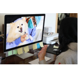 onde tem veterinário consulta online Itaim Paulista