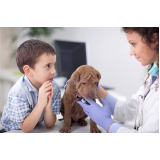 veterinário de animais agendar Consolação