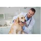 veterinário de animais marcar Barra Funda