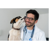 veterinário nefrologista Granja Julieta