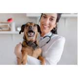 veterinário para animais de estimação marcar Ipiranga